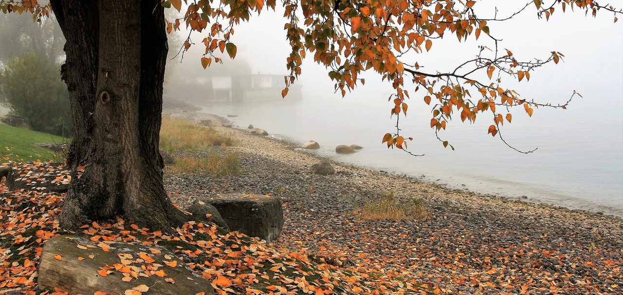 Slider Image 1